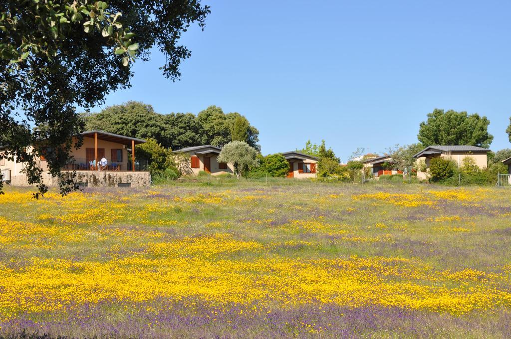 La Cerca Del Alcornoque Pensionat Casas de Belvis Exteriör bild