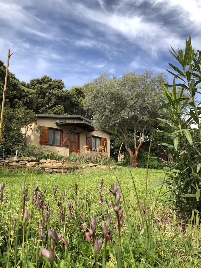 La Cerca Del Alcornoque Pensionat Casas de Belvis Exteriör bild